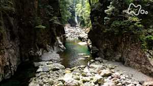 にっぽん百名山　雨が育む神秘の地～大台ケ原山～