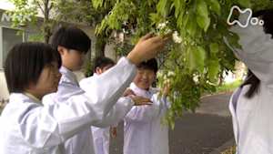 ＥＴＶ特集　心が躍る生物教室