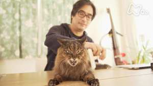 ネコメンタリー　猫も、杓子（しゃくし）も。　岸　政彦とおはぎ