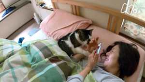 ネコメンタリー　猫も、杓子（しゃくし）も。　井上荒野と松太郎