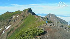 にっぽん百名山　八ヶ岳～花が彩る岩の峰～