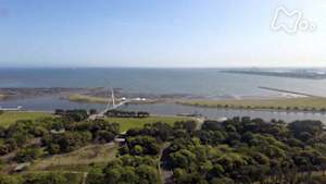 さわやか自然百景　東京　葛西の海辺