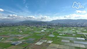 さわやか自然百景　京都　巨椋池跡の田園地帯