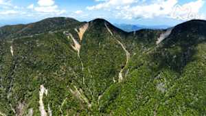 にっぽん百名山　甲武信ヶ岳～シャクナゲとコケの森～