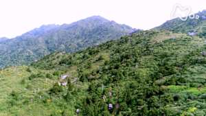 にっぽん百名山　屋久島　宮之浦岳～黒潮洗う　世界遺産の森～