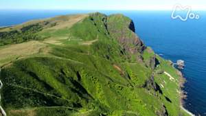 にっぽん百名山　礼文島　ツバメ山　～氷河期が生んだ“花の浮島（うきしま）”～