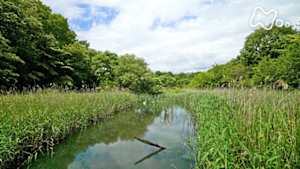 さわやか自然百景　埼玉　北本の谷戸