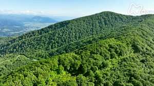 さわやか自然百景　信越　鍋倉山　ブナの森