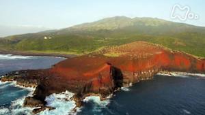 さわやか自然百景　伊豆諸島　三宅島　初夏