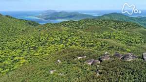 にっぽん百名山　南の島の“海から山へ”～石垣島　西表島～