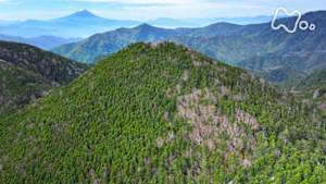にっぽん百名山　“水の山”を楽しむ～甲武信ヶ岳～