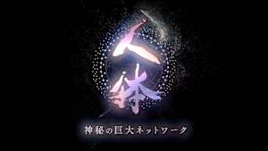 ＮＨＫスペシャル　シリーズ　人体　神秘の巨大ネットワーク