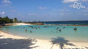 世界ふれあい街歩き　マレ～モルディブ～