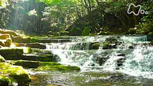 さわやか自然百景　三重　赤目四十八滝