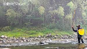 鮎2024 /Yuji Style 四国初上陸 徳島の銘川 那賀川を攻略