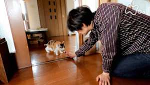 ネコメンタリー　猫も、杓子（しゃくし）も。　長岡弘樹とふくとまり