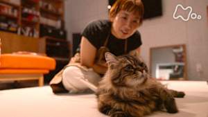 ネコメンタリー　猫も、杓子（しゃくし）も。　こざき亜衣とズンズク