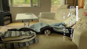 ネコメンタリー　猫も、杓子（しゃくし）も。　犬童一心とチャッピー