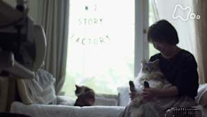 ネコメンタリー　猫も、杓子も。特別編　村山由佳ともみじ　軽井沢の日々よ　永遠に