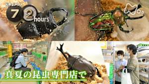 ドキュメント７２時間　真夏の昆虫専門店で