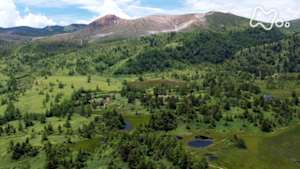 さわやか自然百景　草津白根山　山麓の湿地群