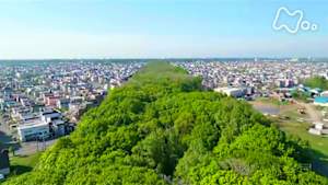 さわやか自然百景　北海道　石狩平野の防風林
