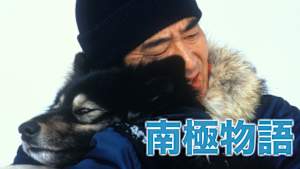 南極物語