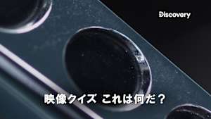 映像クイズ これは何だ？