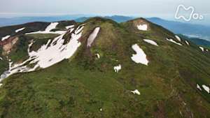 にっぽん百名山　花咲く火山の目覚め～秋田駒ヶ岳～