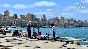 世界ふれあい街歩き　エジプト　二都物語　～カイロ＆アレクサンドリア～