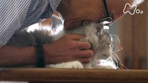 ネコメンタリー　猫も、杓子（しゃくし）も。　石黒謙吾とコウハイ