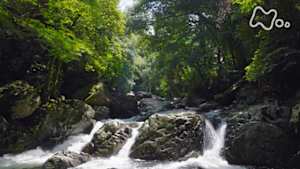 さわやか自然百景　大阪　摂津峡