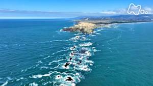 さわやか自然百景　北海道　襟裳岬の岩礁
