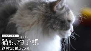ネコメンタリー　猫も、杓子（しゃくし）も。　谷村志穂とルル