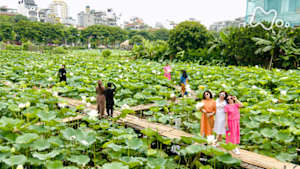 世界ふれあい街歩き　花咲く不屈の都ハノイ　～ベトナム～