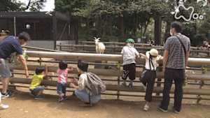 ドキュメント７２時間　川崎　丘の上の動物公園
