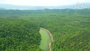 さわやか自然百景　屈斜路湖畔　火山が生んだ森