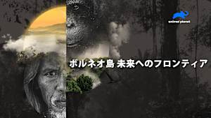 ボルネオ島 未来へのフロンティア