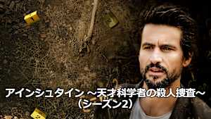 アインシュタイン ～天才科学者の殺人捜査～