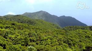 さわやか自然百景　鹿児島　稲尾岳