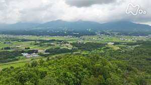 さわやか自然百景　岡山　蒜山（ひるぜん）の森と草原