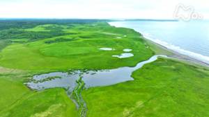 さわやか自然百景　北海道　ホロニタイ湿原