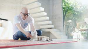 ネコメンタリー　猫も、杓子（しゃくし）も。　和田ラヂヲとシャム朗