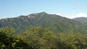 にっぽん百名山　よみがえる表参道～奥秩父の盟主・金峰山～