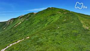 にっぽん百名山　水しぶく清流を登る～奥羽山脈・栗駒山～
