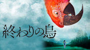 終わりの鳥