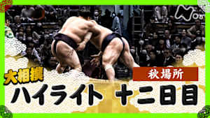 大相撲（２０２５年）　幕内の全取組　秋場所　十二日目