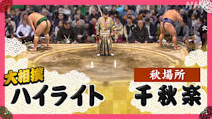 大相撲（２０２５年）　幕内の全取組　秋場所　千秋楽