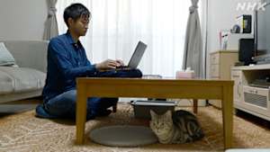 ネコメンタリー　猫も、杓子（しゃくし）も。　田丸雅智とこさめ