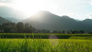 にっぽん百名山　“幻の百名山”に挑む～北アルプス・有明山～